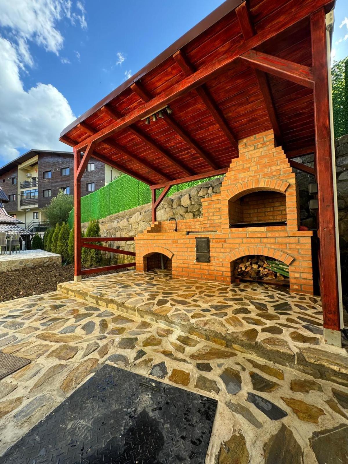 Ollie'S Mountain Chalet Busteni Exterior photo